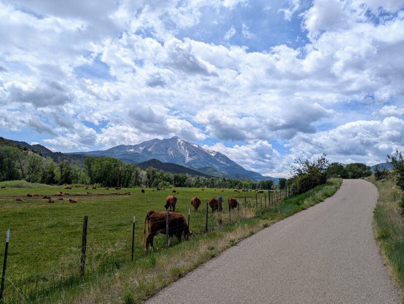 Crystal Valley Trail with view of Mt Sopris and cows grazing