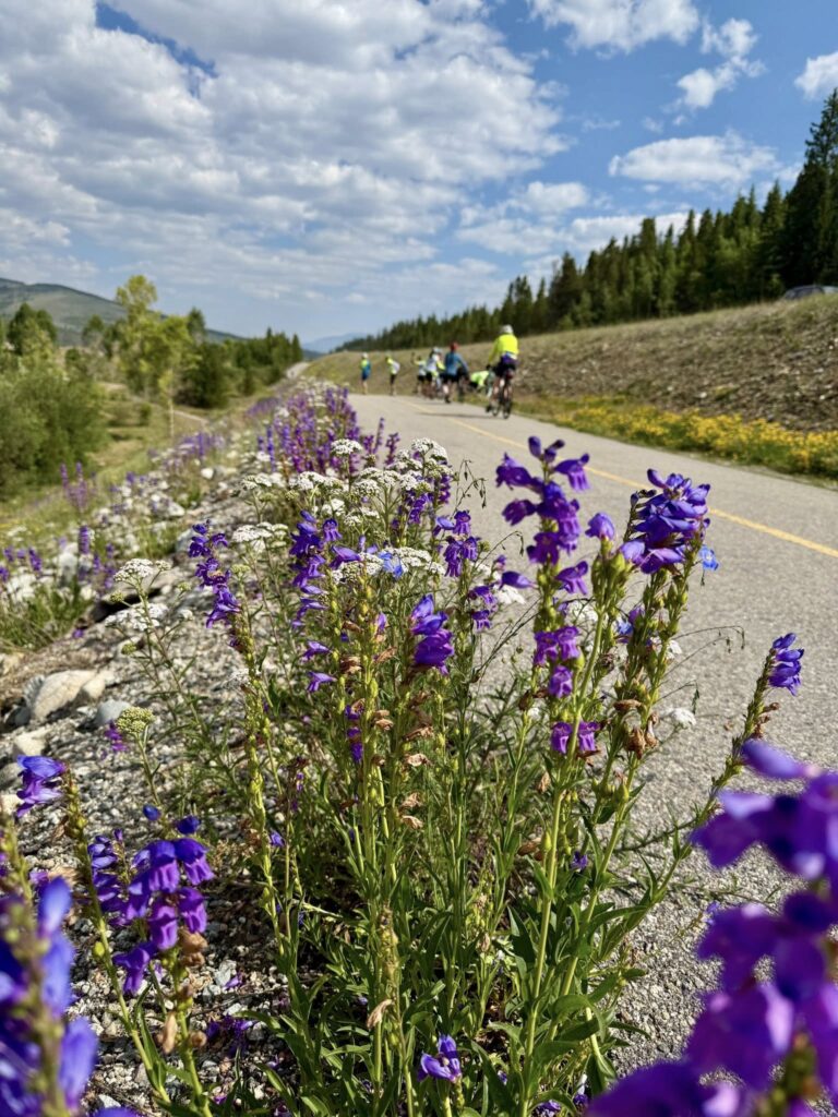 Wildflowers along a bike path with Venus members riding away